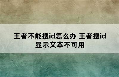 王者不能搜id怎么办 王者搜id显示文本不可用